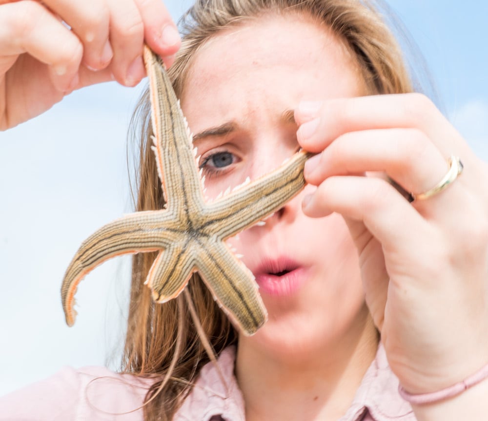 Starfish at Bean Point