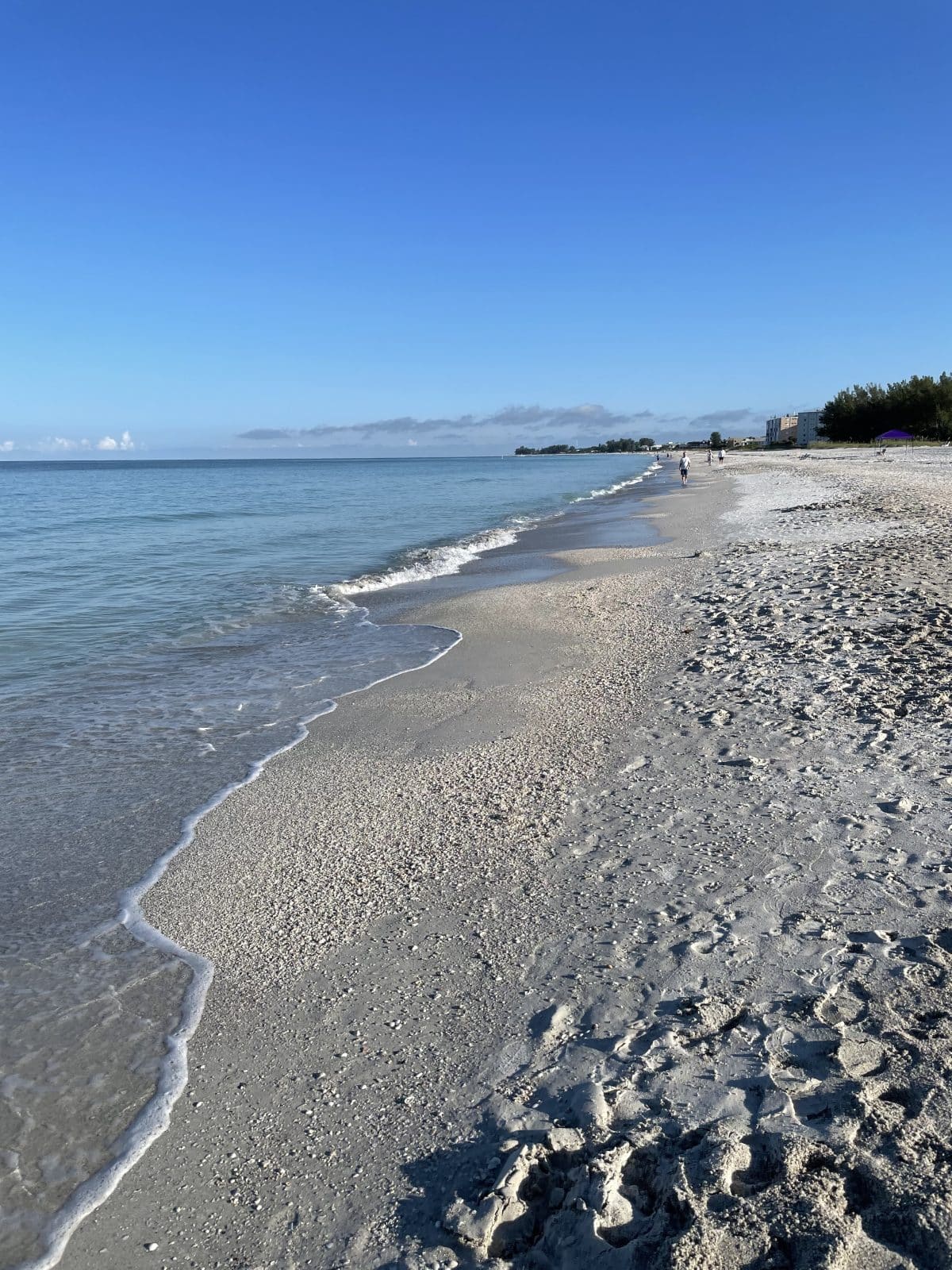 Best Beaches Anna Maria Island Coral Castle AMI