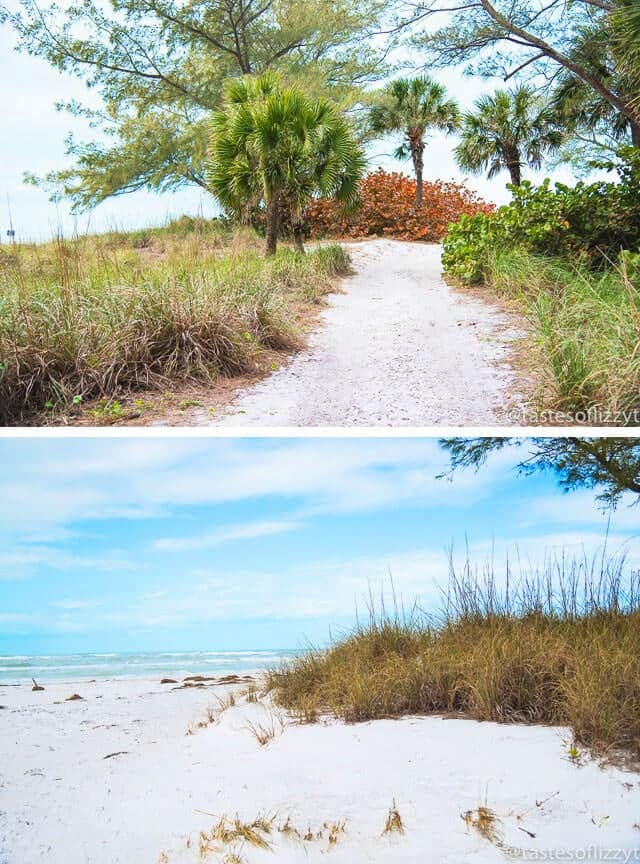 Coquina Beach - Nature Walk