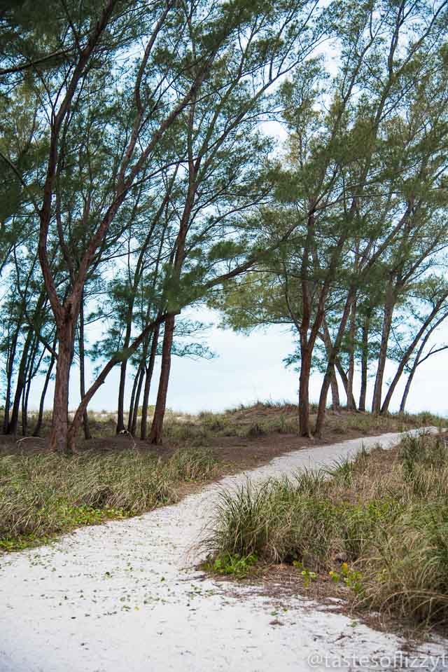 Coquina Beach - Nature Walk 2