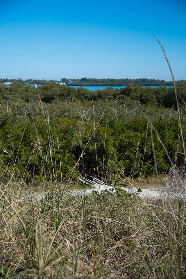 Leffis Beach - Nature Walk